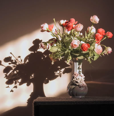 Roses in a flower pot silhouetted by the sun sits alone on a table