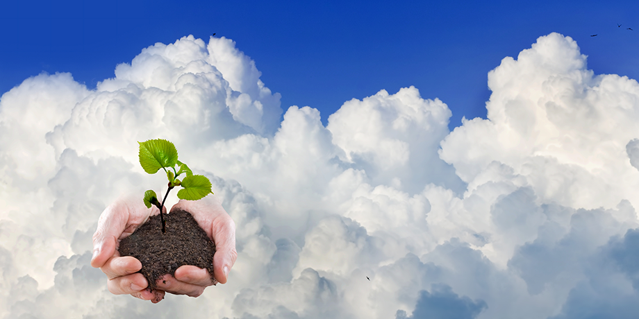 Hands extend from the clouds holding a seedling.