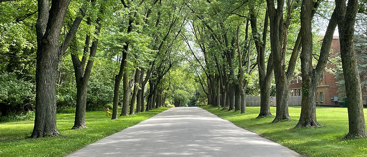 Scenic drive