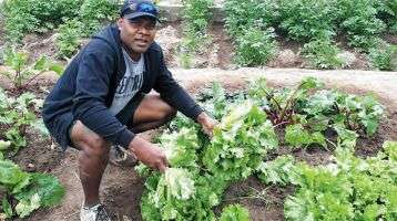 Iowane the gardener!