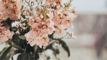 bouquet of flowers