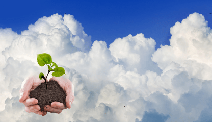 Hands extend from the clouds holding a seedling.