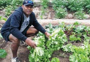 Iowane the gardener!