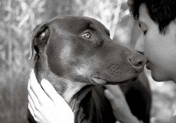 A boy and his dog